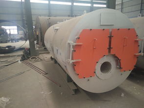 浴池專用鍋爐報價 廠家