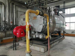 公司在用6噸燃?xì)忮仩t對外出售