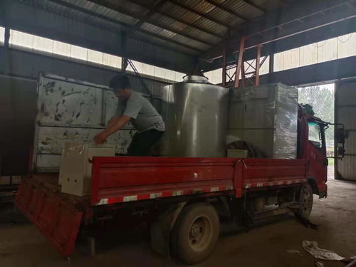 鍍鋅廠燃?xì)忮仩t脫硝廠家