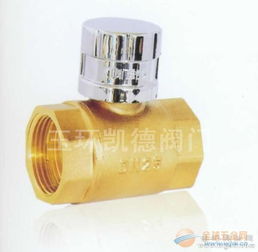 磁性管道鎖閉閥 品牌 磁性管道鎖閉閥 采購 圖片 批發