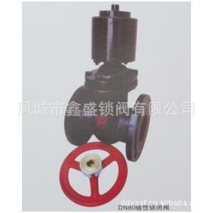 【廠家專業(yè)生產(chǎn)DN80磁性鎖閉閥 優(yōu)質(zhì)鎖閉閥】價格_廠家_圖片 -